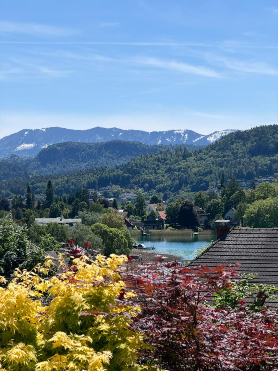 Lake view