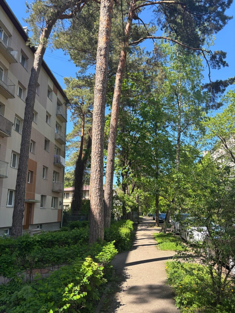 Jurmala Cozy Vibes - self check in Apartment in Jūrmala