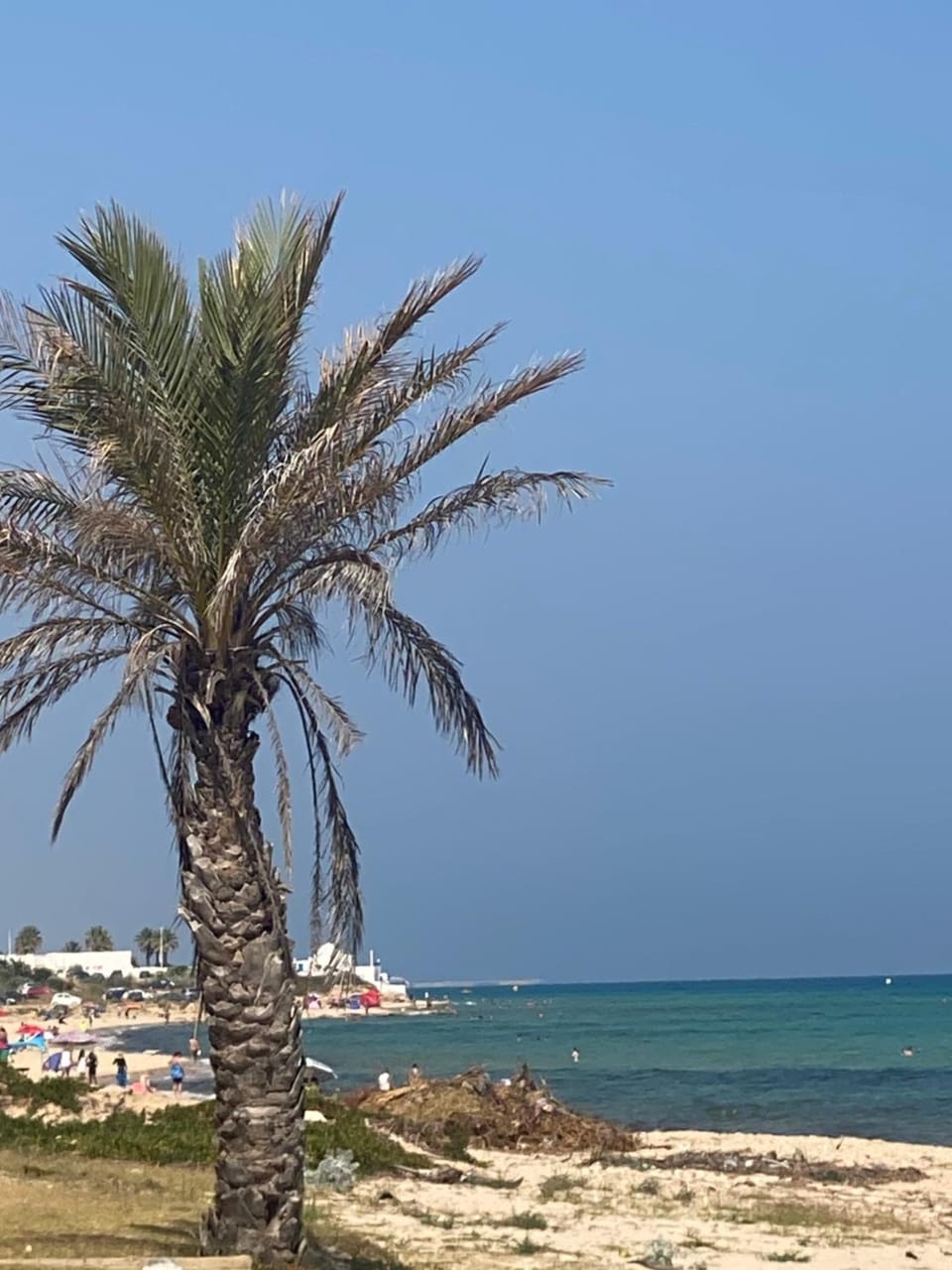 Luxury Hammamet Apartment in Mrezga