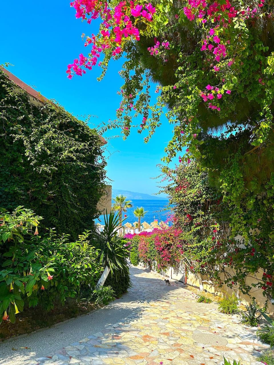 Panoramic SeaView, Duplex APT Bougainville Bay Apartment in Sarandë