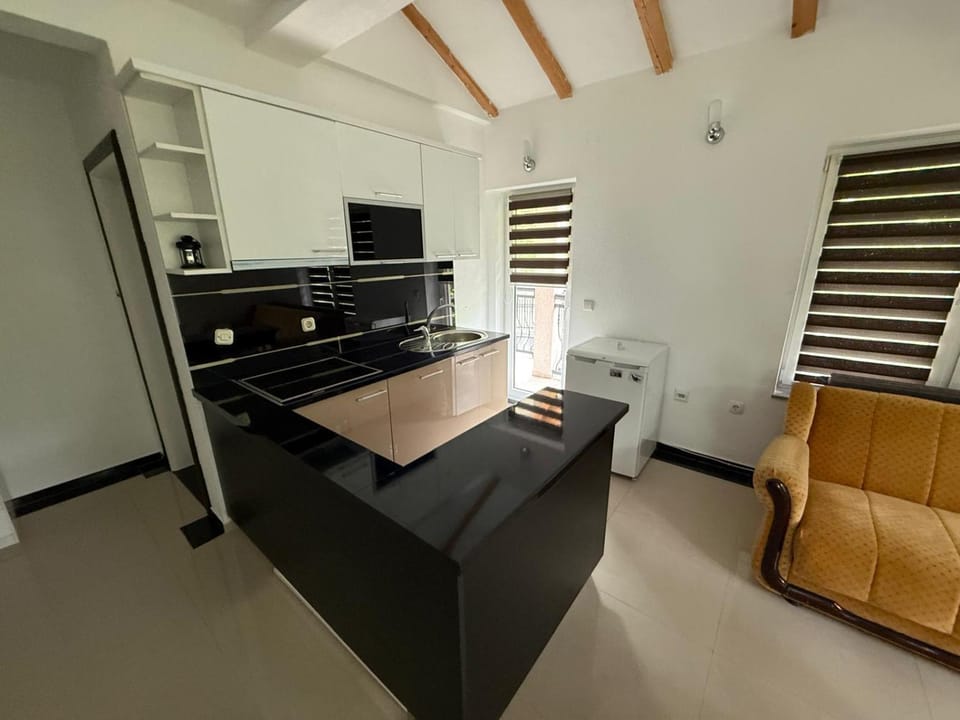Kitchen or kitchenette, minibar