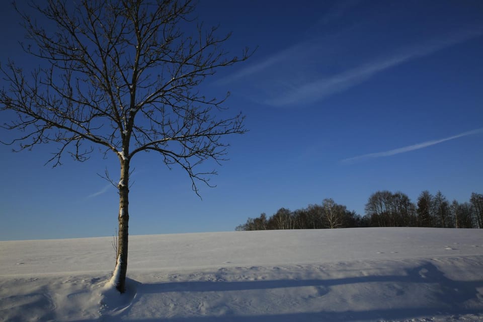 Off site, Natural landscape, Activities, Activities, Winter, Ski School, Skiing, Family, Family, Family, Parking
