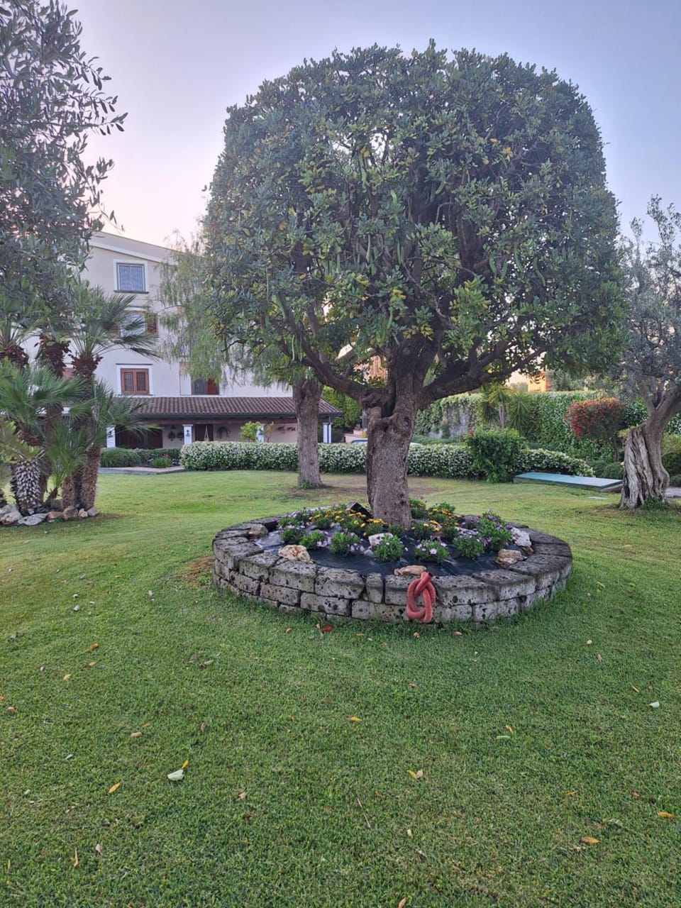 Day, Garden