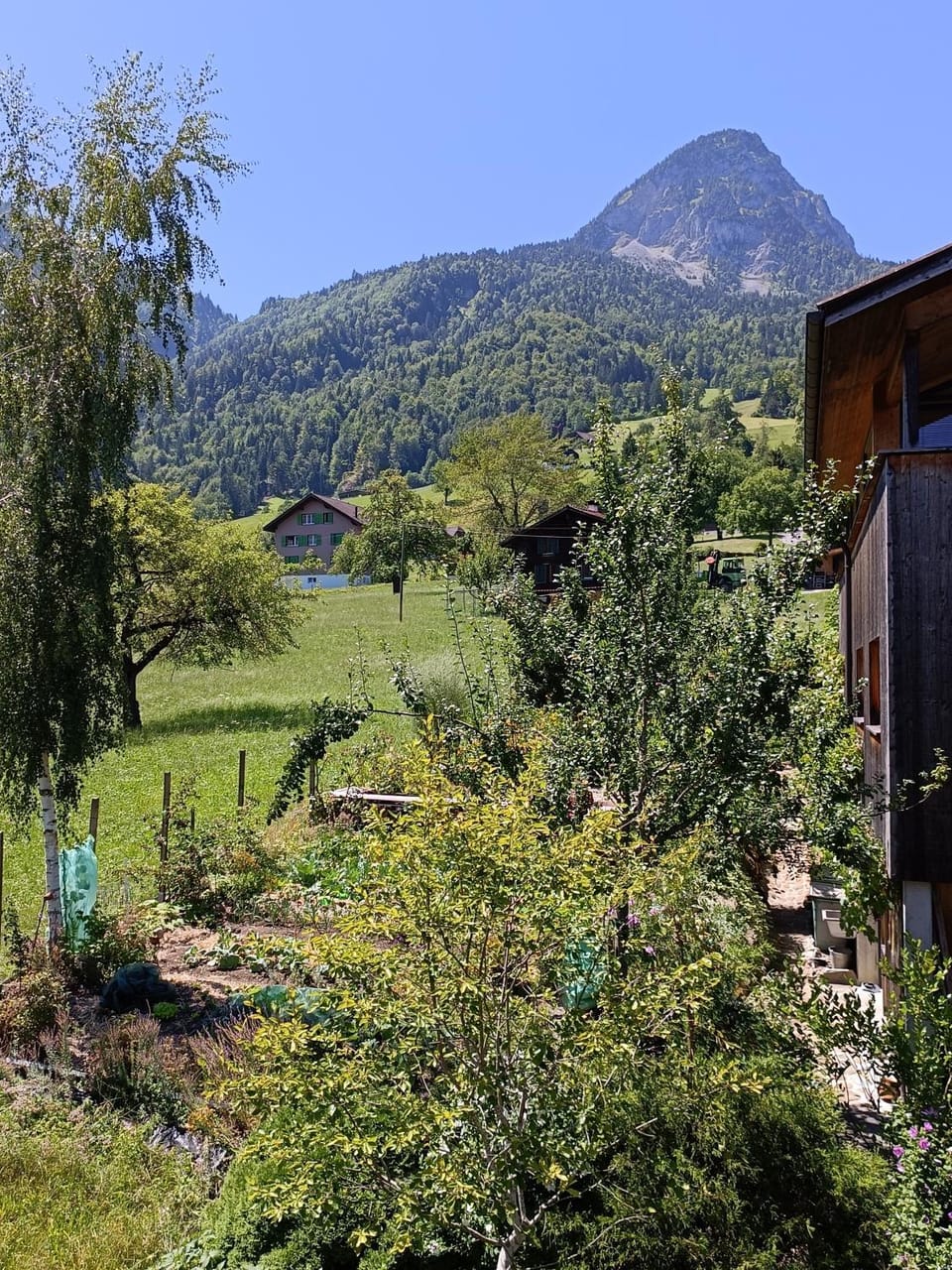 Garden view