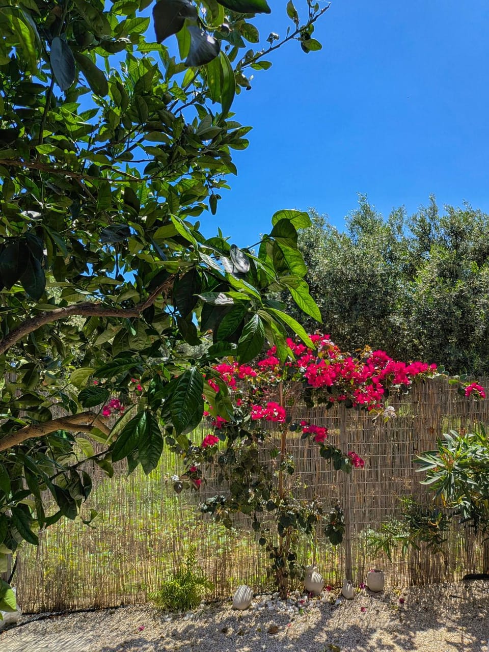 Garden, Garden view