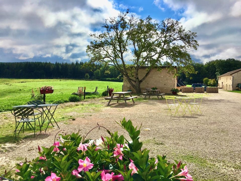 Spring, Natural landscape, Garden, Landmark view
