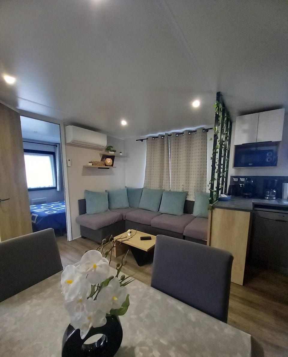 MOBIL HOME TOUT CONFORT Camping LA RESERVE Campground/ 
RV Resort in Parentis-en-Born