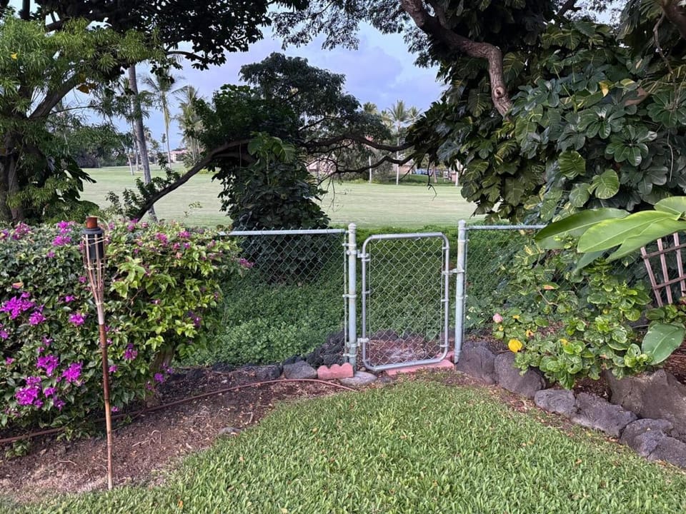 Hale Hoʻonanea - Steps to the ocean, AC House in South Kona