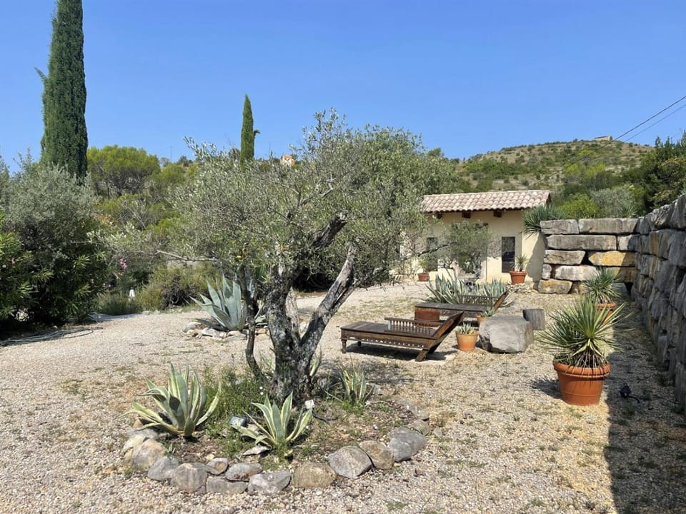 Mas Perche des Oliviers House in Occitanie