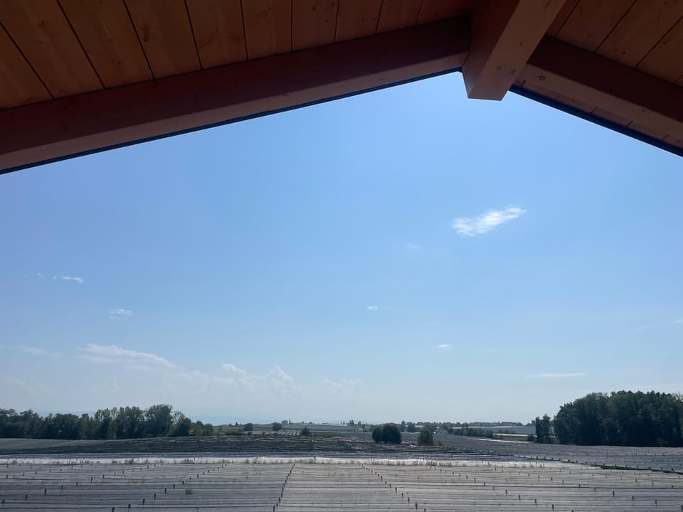 Apfelchalet Mirabell -Neubau Chalet, Natur, Alpenblick, Wallbox, Messe und See nah, Ruhe in ländlicher Umgebung Apartment in Friedrichshafen