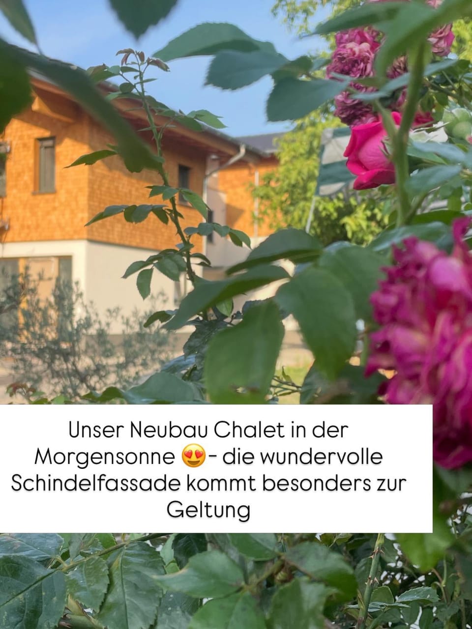 Apfelchalet Mirabell -Neubau Chalet, Natur, Alpenblick, Wallbox, Messe und See nah, Ruhe in ländlicher Umgebung Apartment in Friedrichshafen