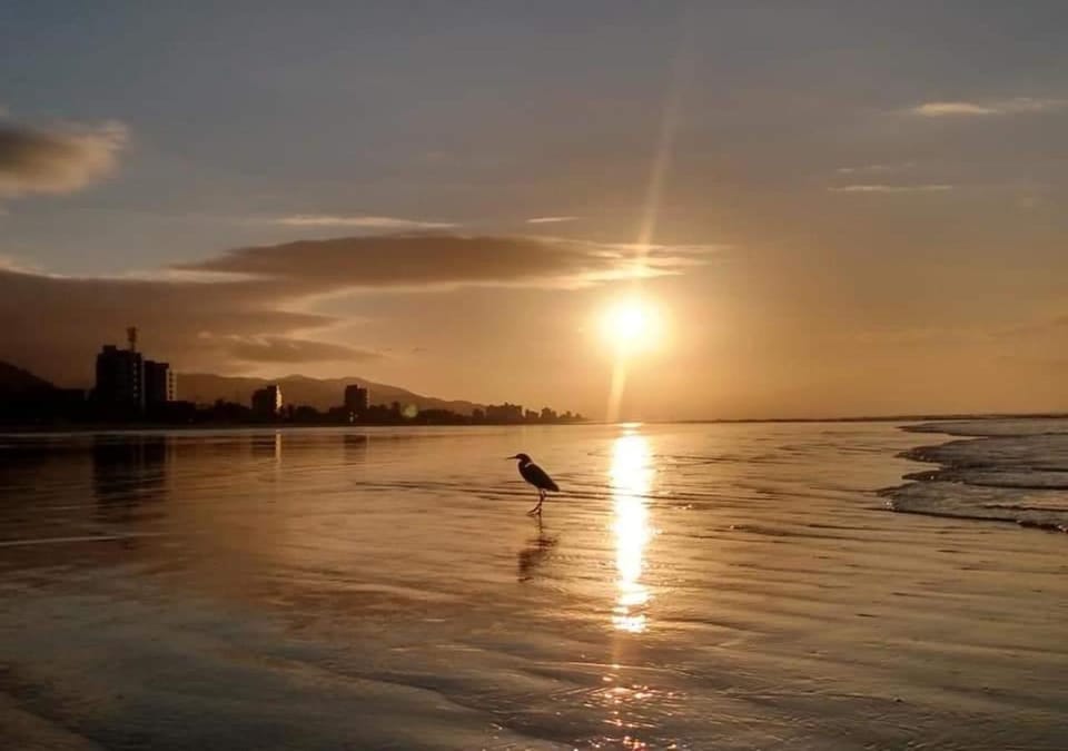 Beach, Sea view, Sunset