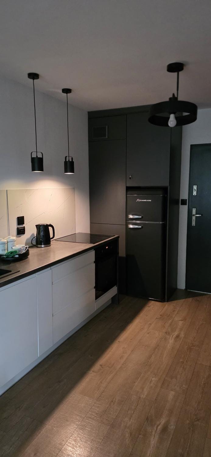 Kitchen or kitchenette, oven