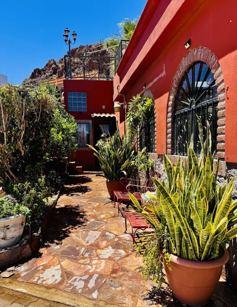 Magical Garden Retreat by the Sea Apartment in San Carlos Guaymas