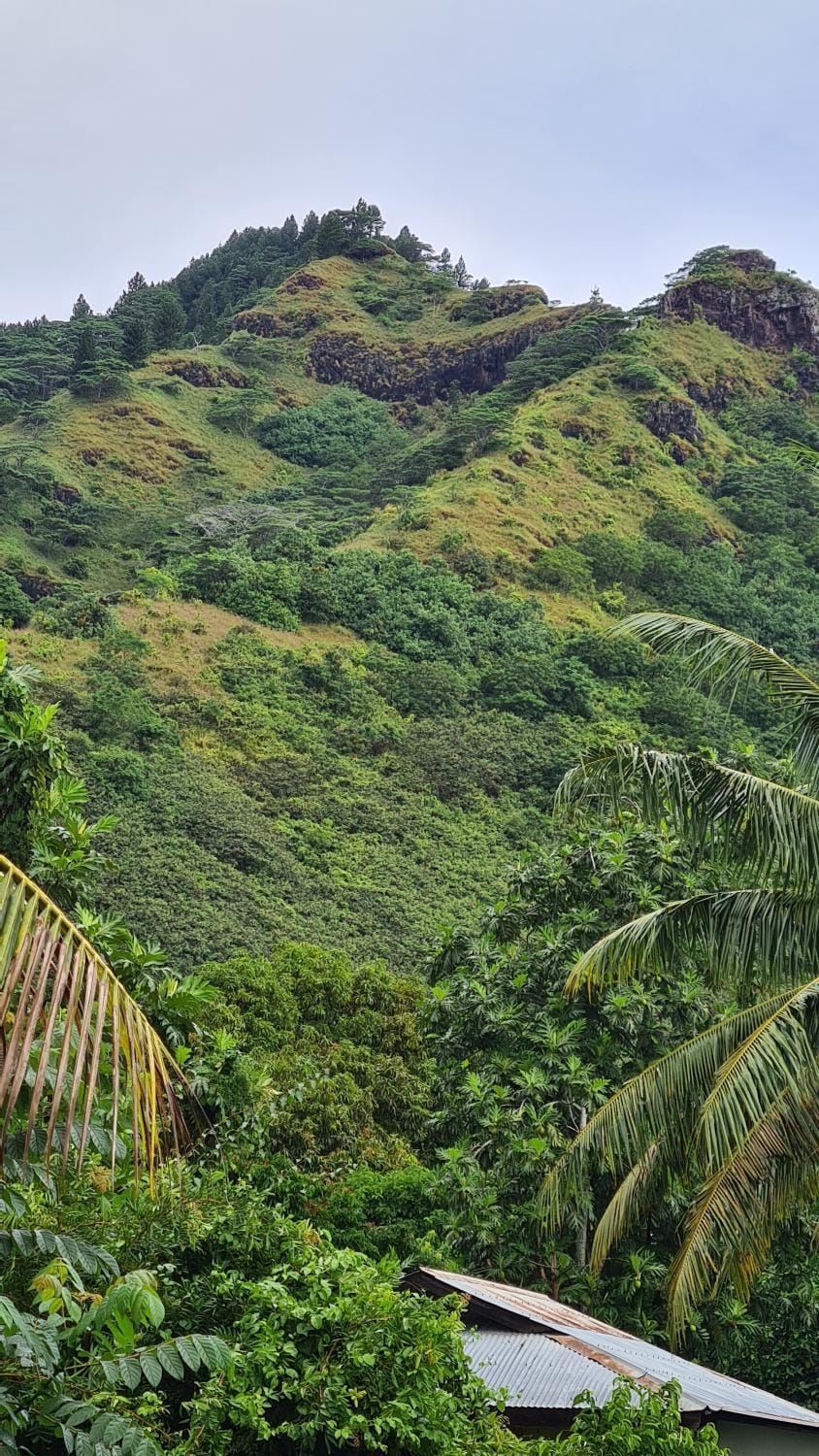 View (from property/room)