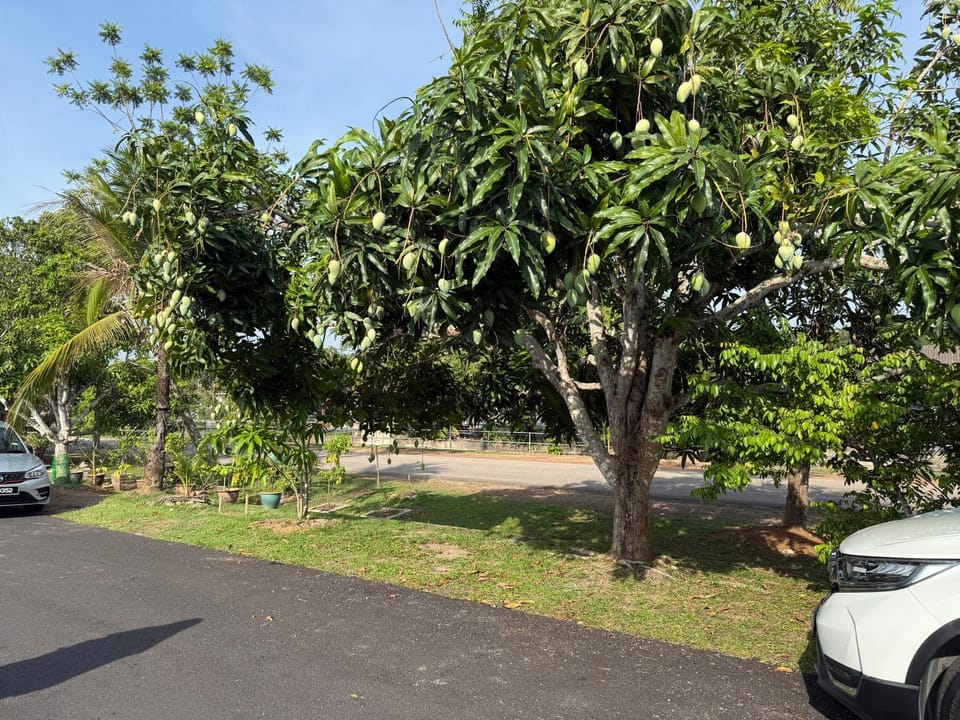 Lanisa Staycation Mesra Vacation rental in Kedah