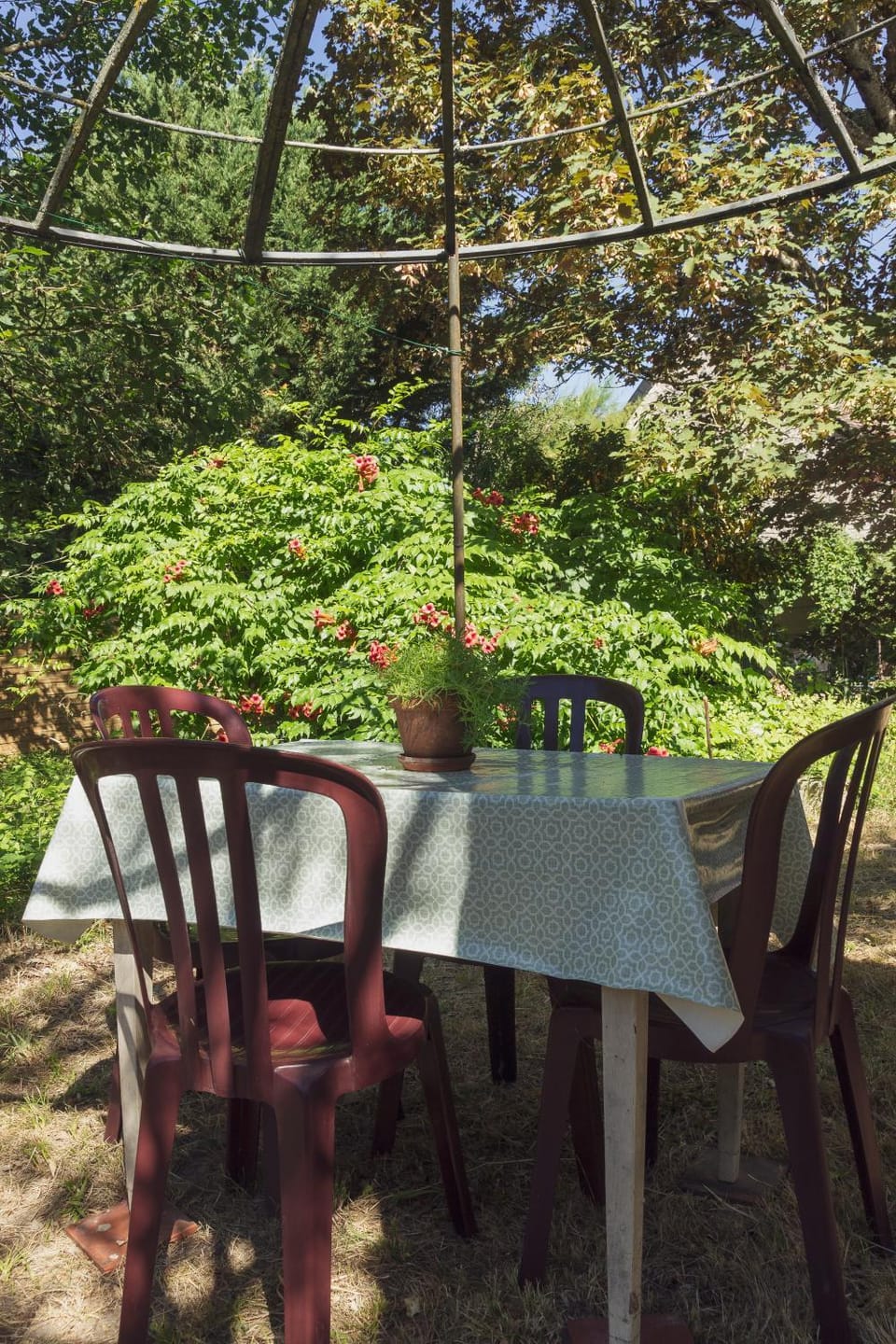 Patio, Garden, Garden, Dining area, Garden view