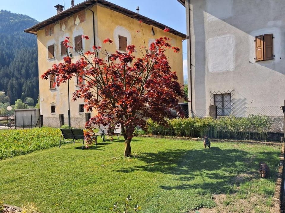 Dai Barèta Apartment in Province of Brescia