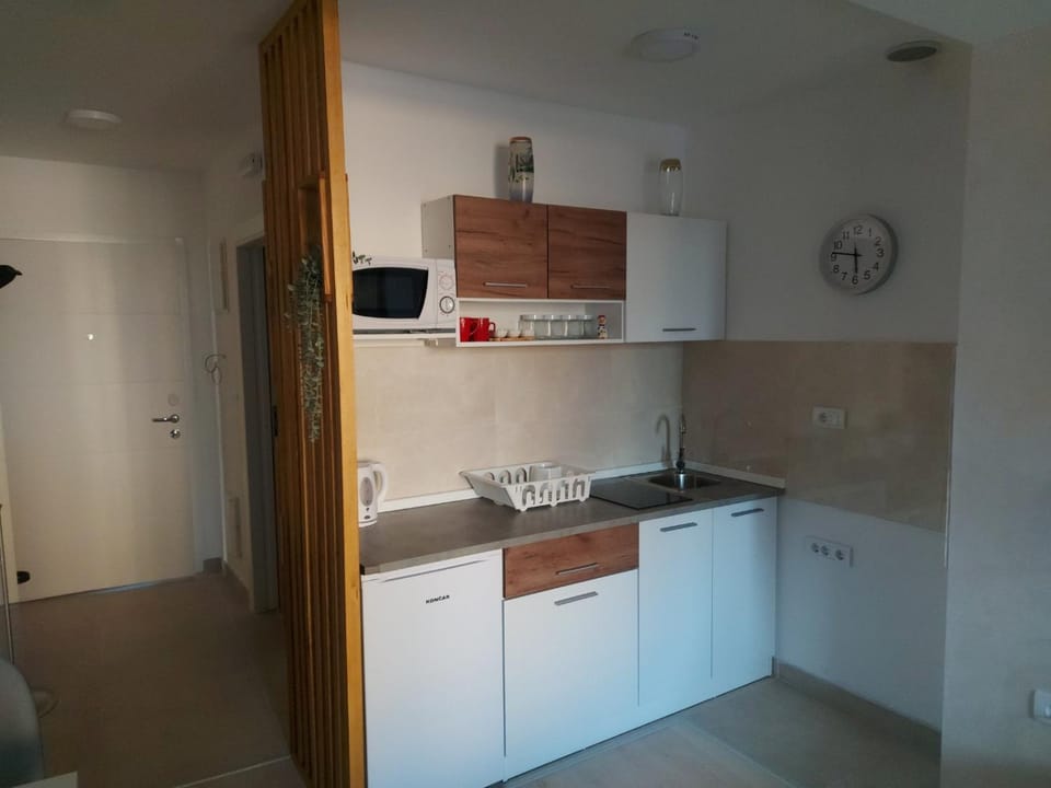 Zlatibor Deluxe Studio Apartment in Zlatibor
