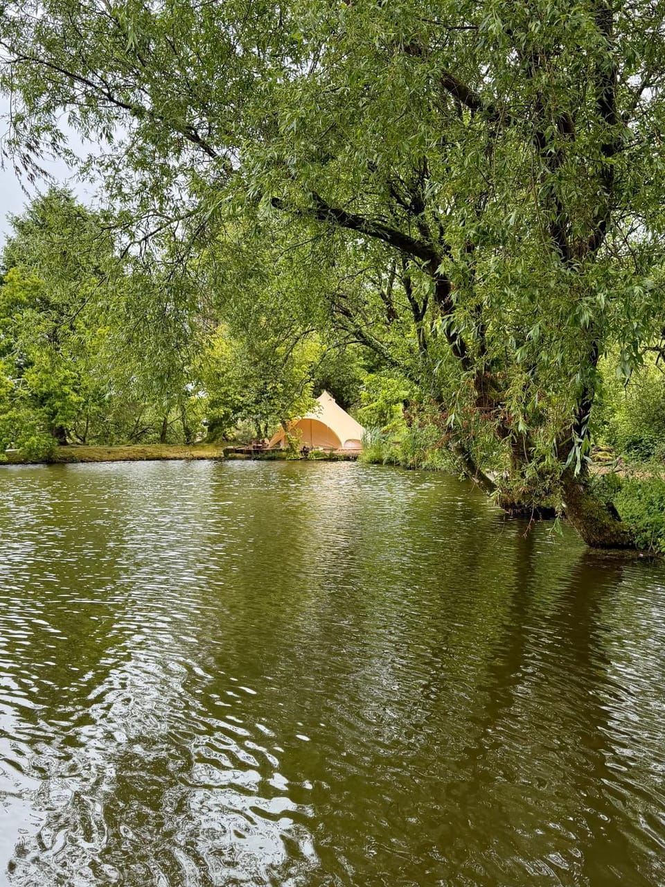 Day, Natural landscape, Lake view