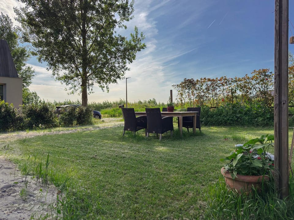 Day, Garden, Garden view