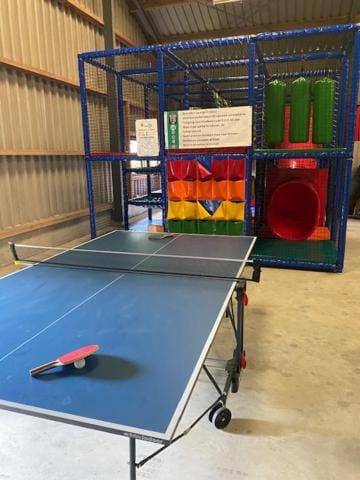 Table tennis