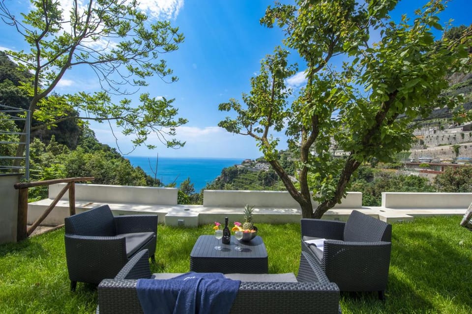 Patio, Garden, Garden view