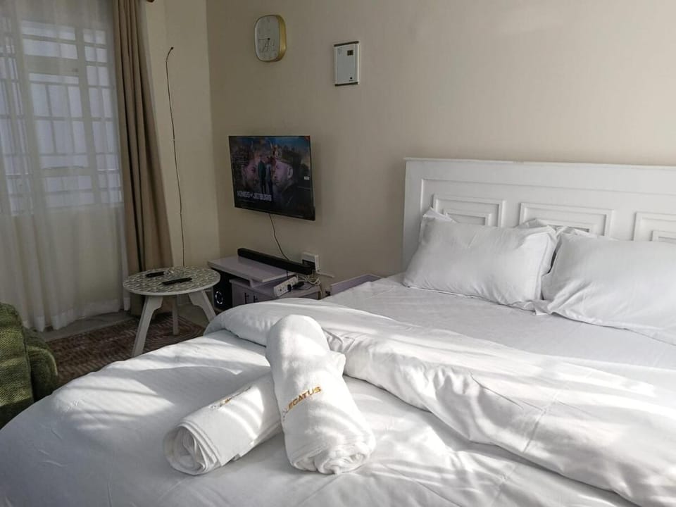 Legatus Cozy Studios - Zambia Stage Ngong Town Apartment in Nairobi