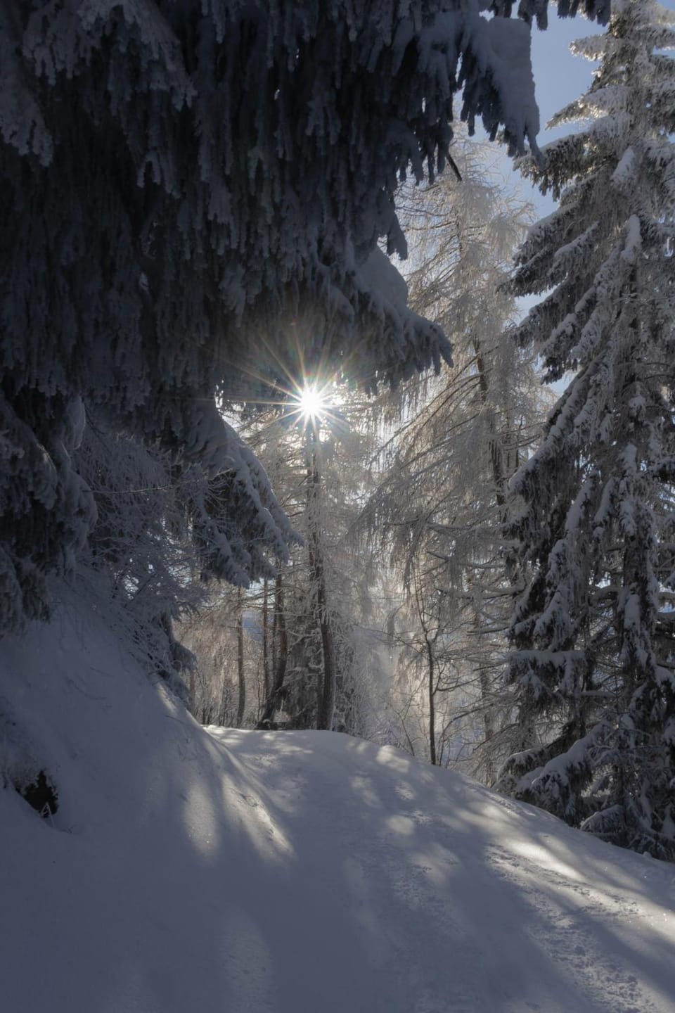 Natural landscape, Winter, Mountain view