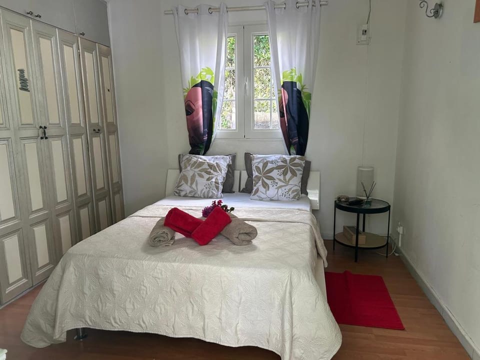 Le cocon de Coco Vacation rental in Leeward Islands