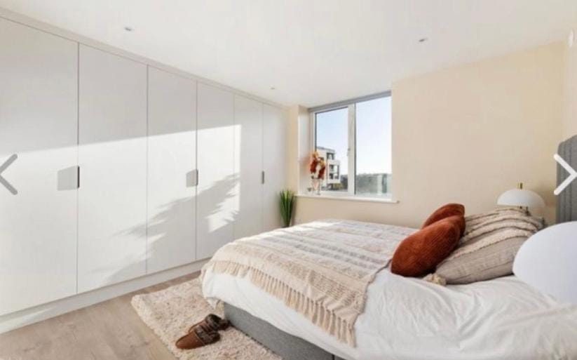Modern Deluxe Apartment with a Seaview Apartment in Dublin