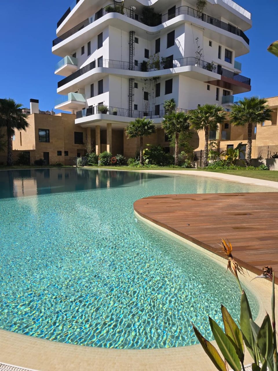Property building, Swimming pool, Swimming pool