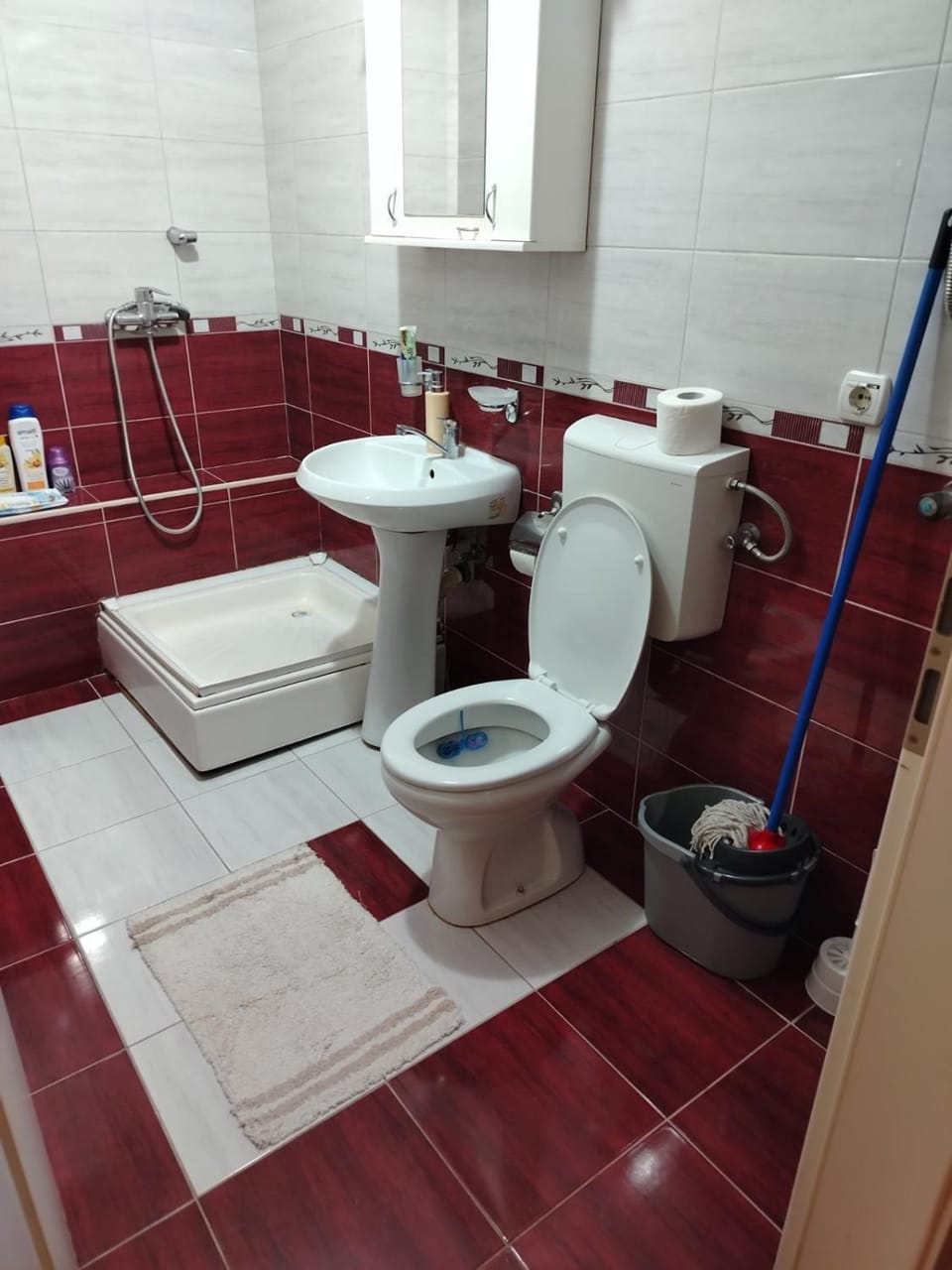 Zvezdica Apartment in Serbia
