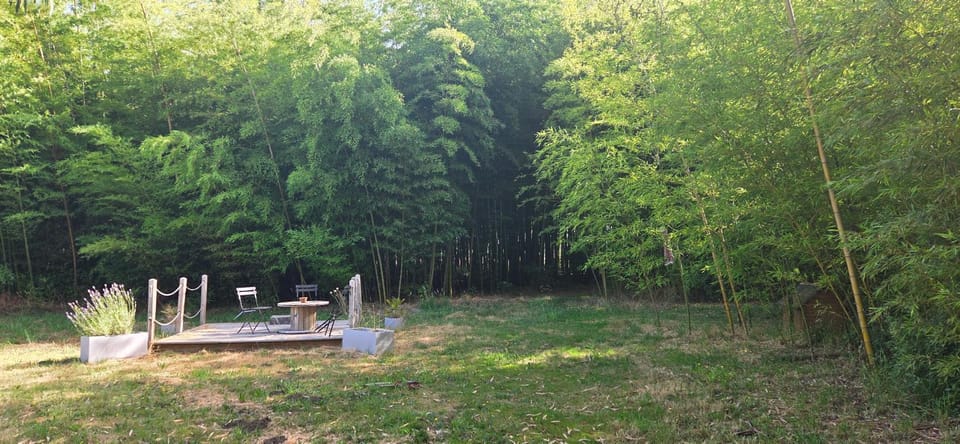 Natural landscape, Garden