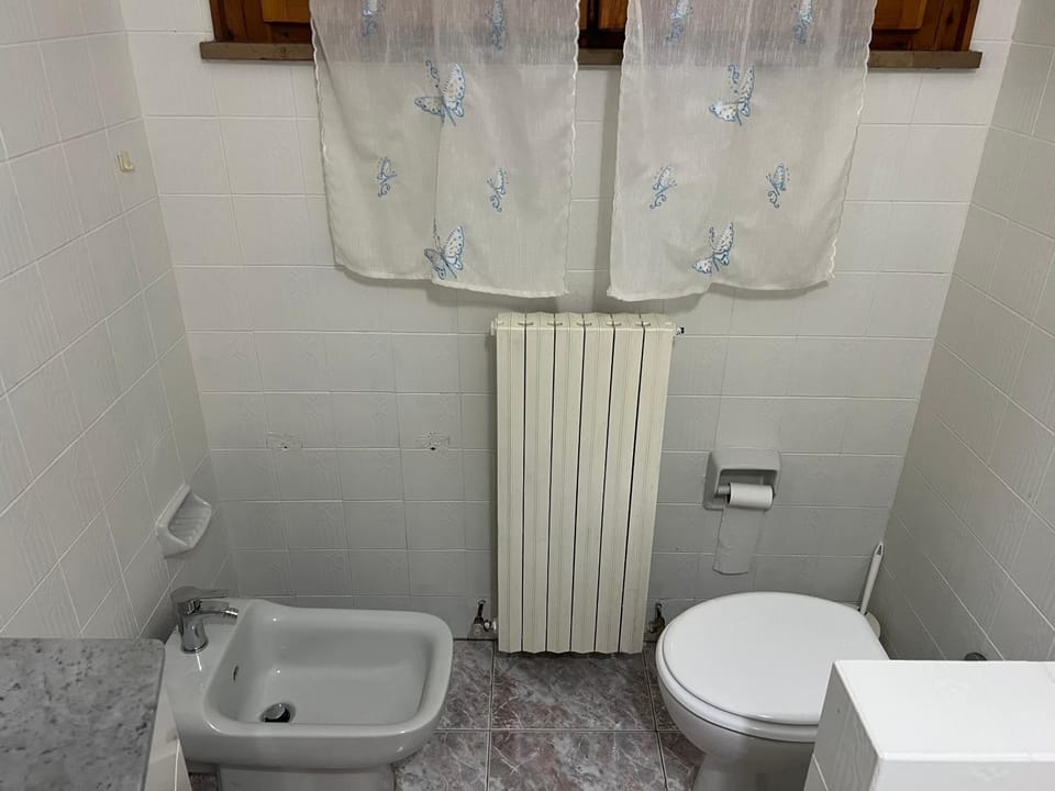 Toilet, Bathroom, bidet