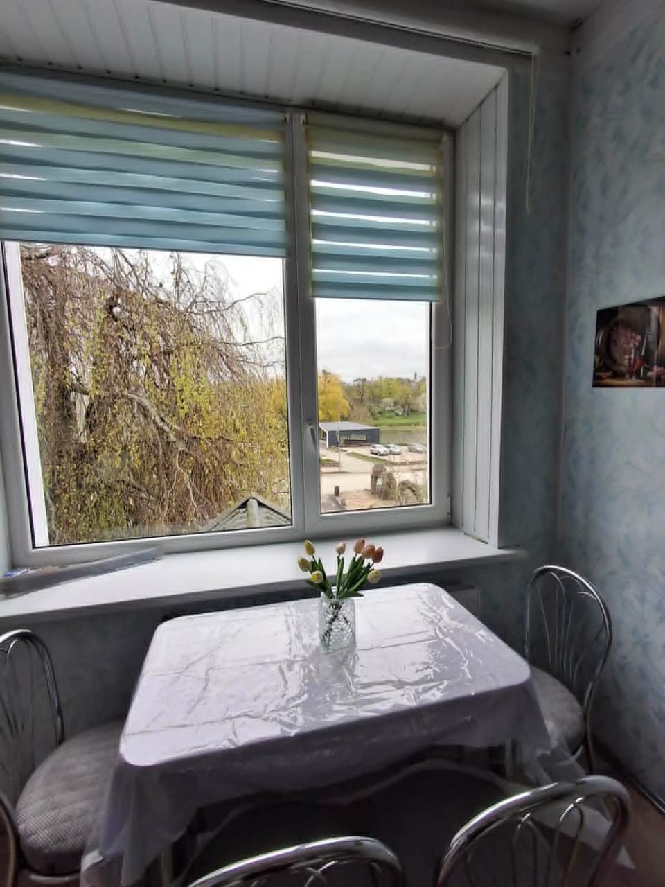 View (from property/room), Dining area