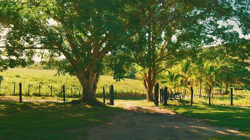 Fazenda carro de boi Farm Stay in State of Bahia