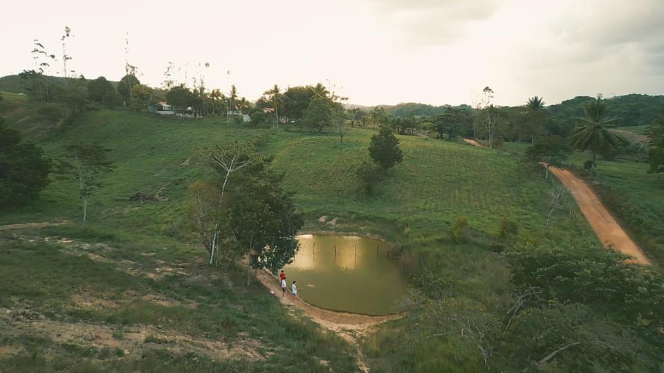 Fazenda carro de boi Farm Stay in State of Bahia