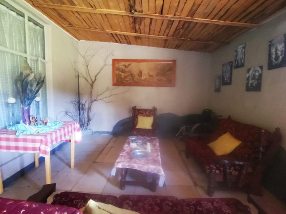 Living room, Decorative detail, Dining area