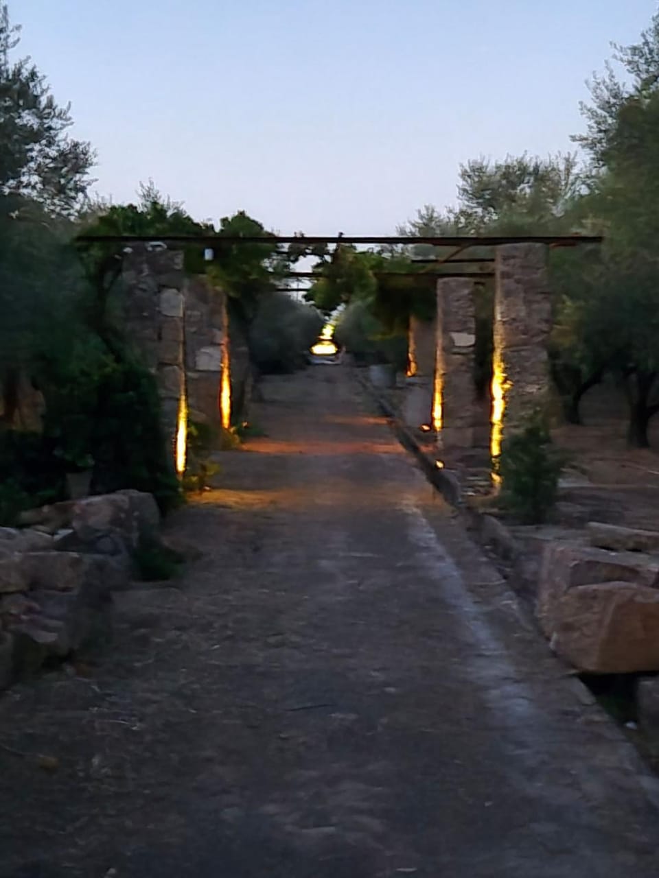 Natural landscape