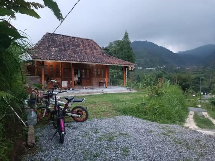 Natural landscape, Mountain view