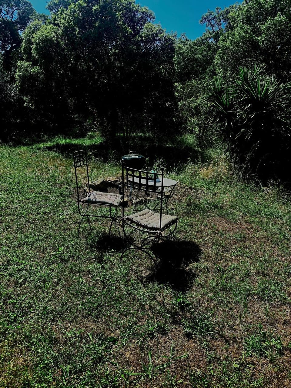 BBQ facilities, Garden