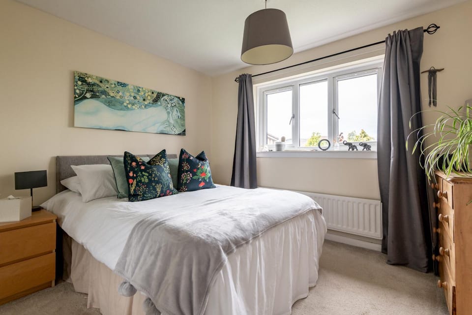 Bed, Photo of the whole room, Bedroom