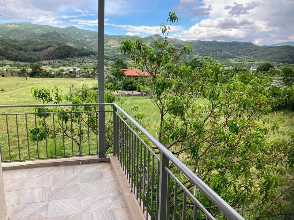 Natural landscape, View (from property/room), Balcony/Terrace, Mountain view