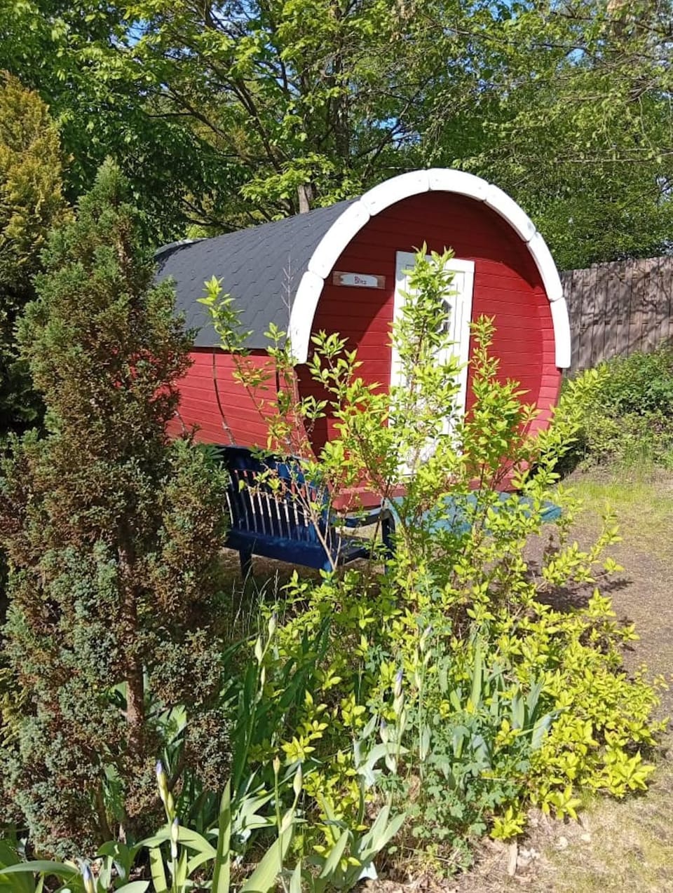Spring, Day, Garden, Garden view