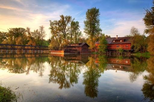 Natural landscape, River view