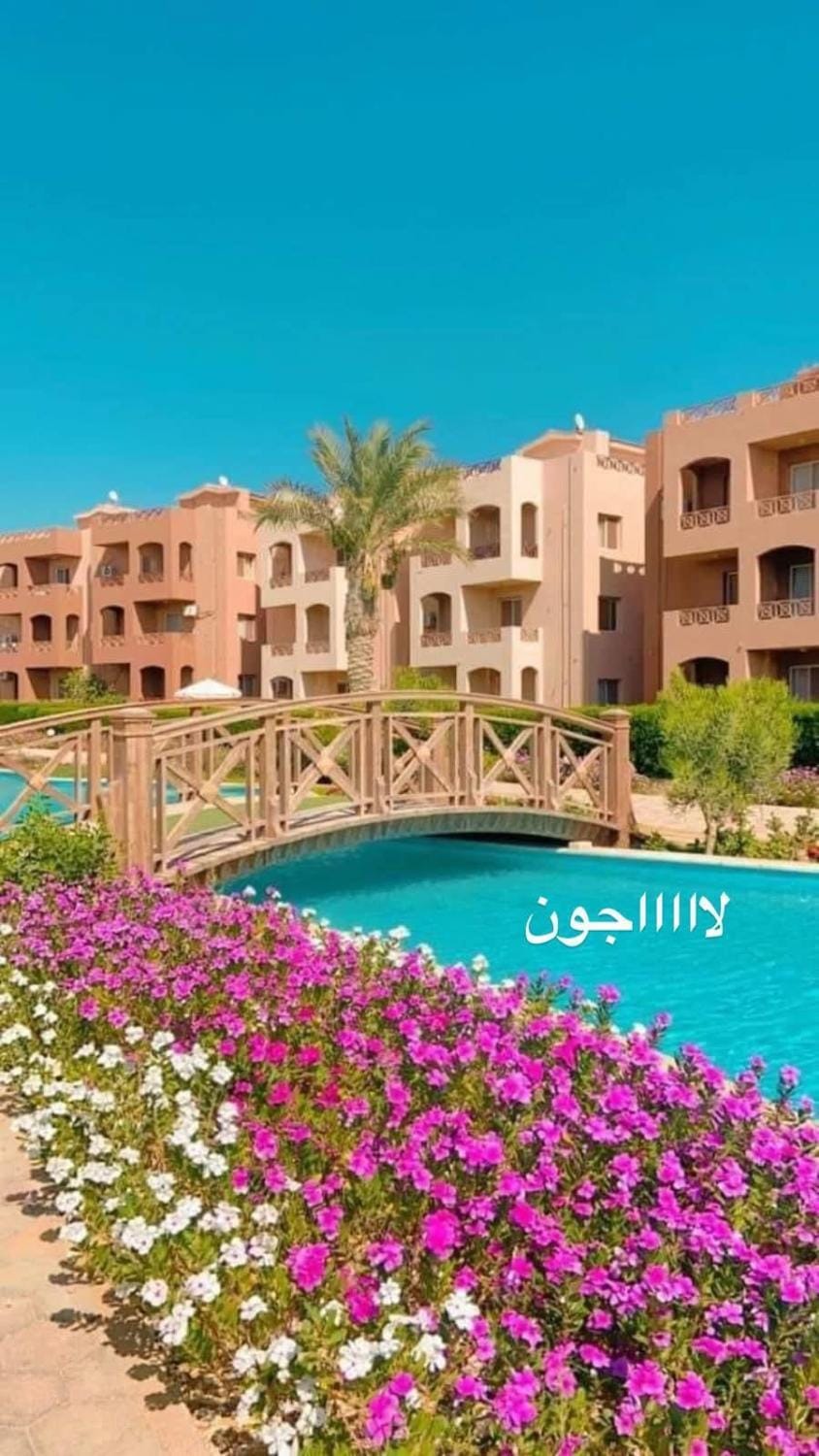 Nozha Beach FOR FAMILYالنزهة Apartment in South Sinai Governorate