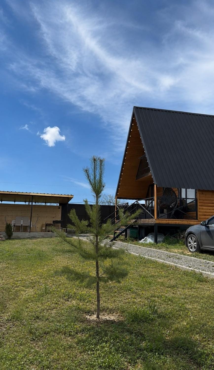 Sabaneli - 40 minutes from Tbilisi House in Georgia