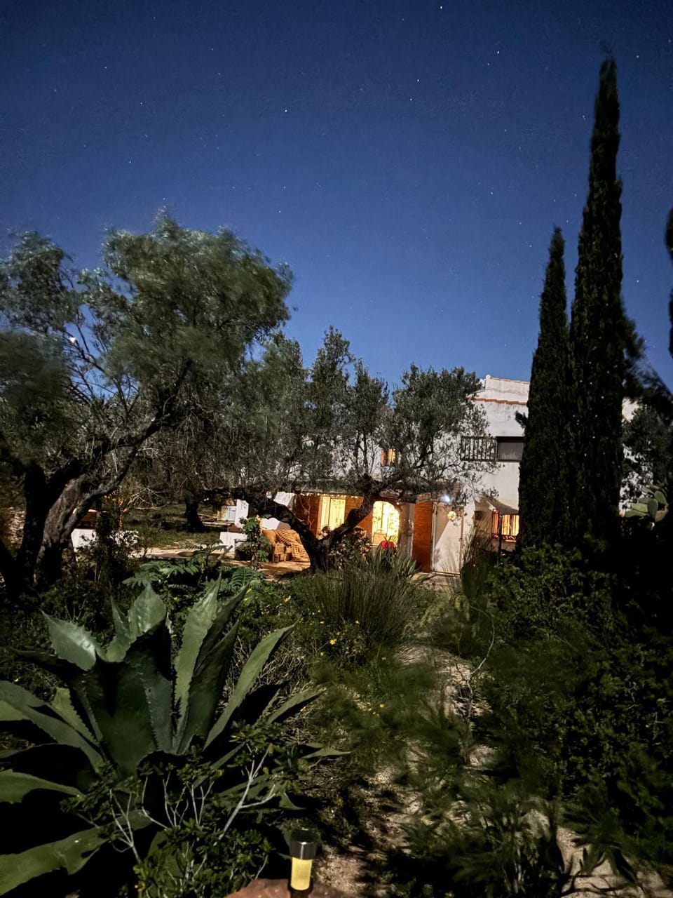 Property building, Night, Garden view