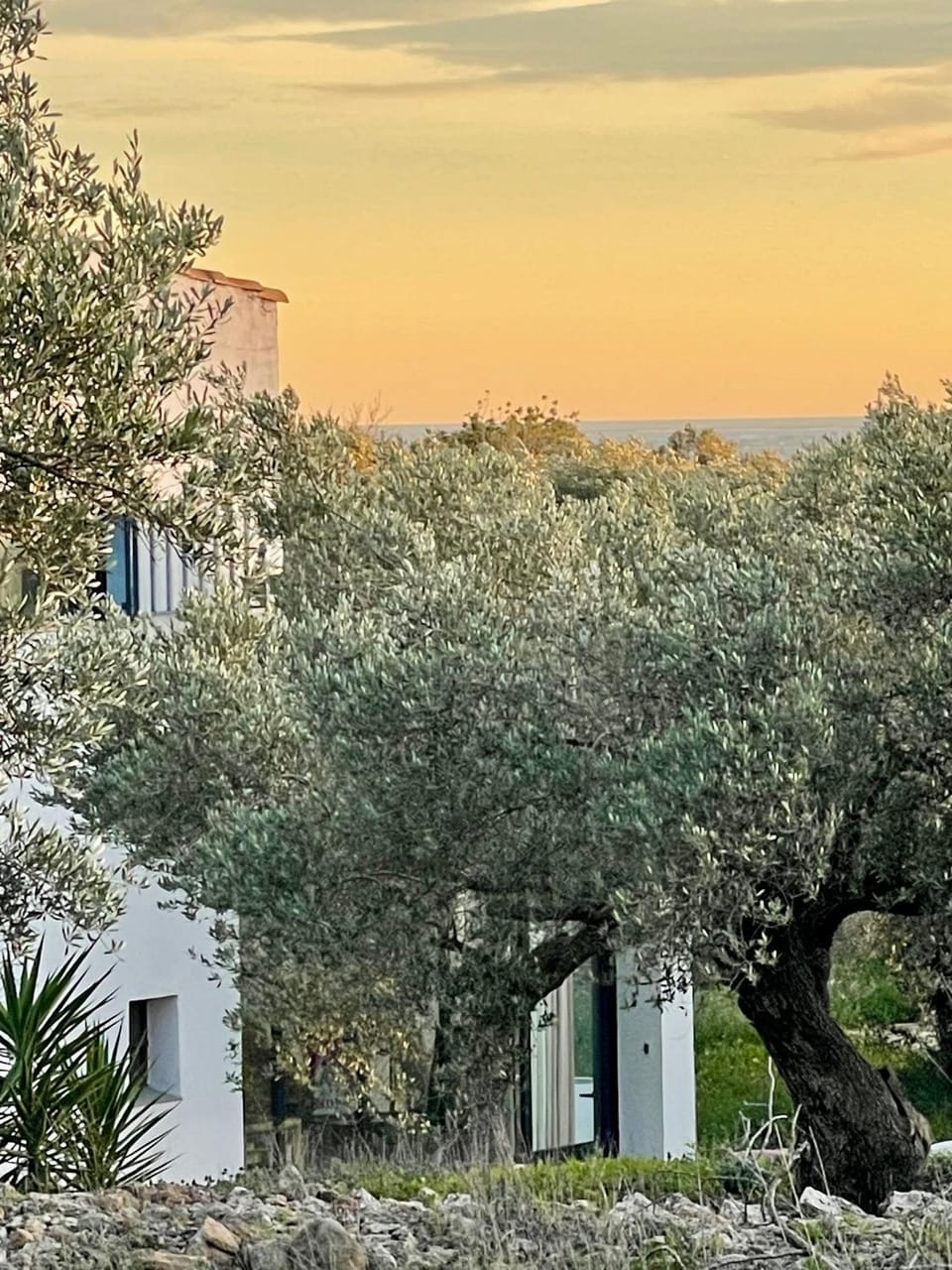 Property building, Garden view, Sea view